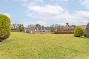 Photo 12- click for photo gallery